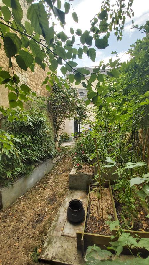 La Maison De Louise Chinon #Chateaux #Vignobles Exterior photo